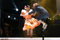020-07-IMG_8610
