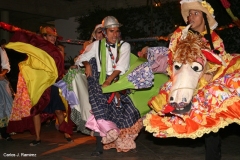 020-08-IMG_7509